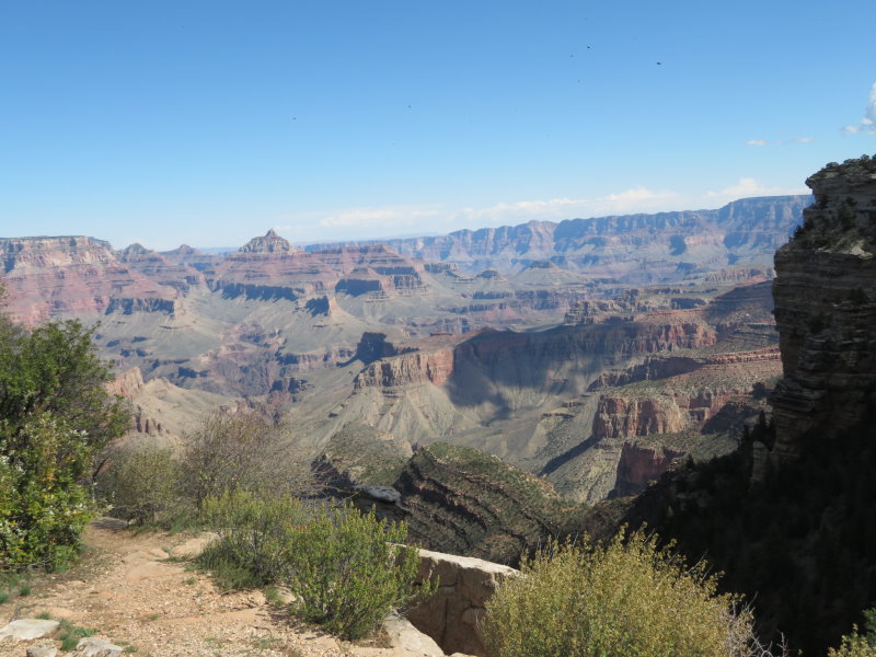 The canyon was much clearer today without the rain